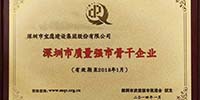 宝鹰集团入选首批“深圳市质量强市骨干企业”
